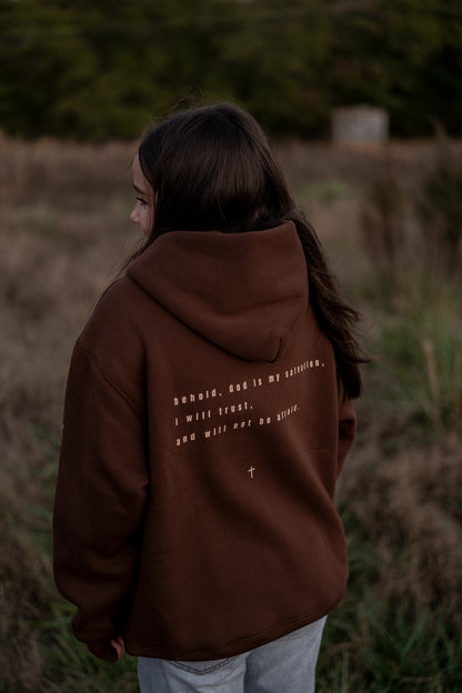 Heavy Weighted Hoodie -Brown-