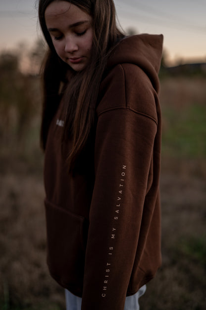 Heavy Weighted Hoodie -Brown-