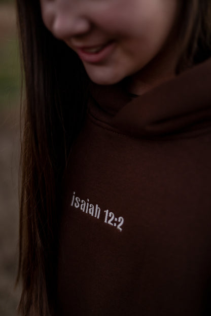 Heavy Weighted Hoodie -Brown-